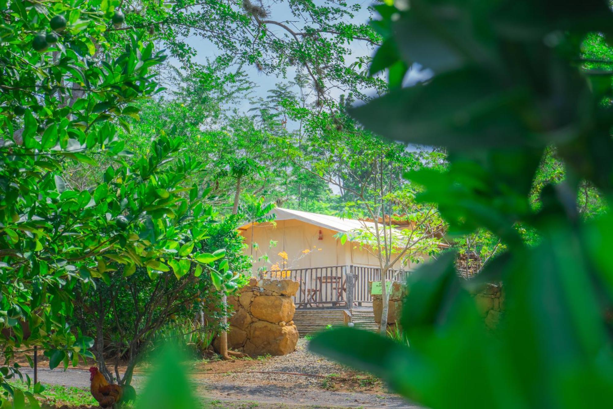 Hotel Hacienda Macedonia Barichara Ngoại thất bức ảnh
